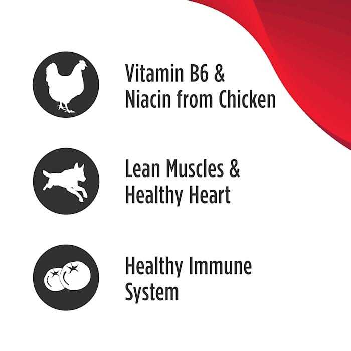 Nulo MedalSeries Adult Dry Dog Food - Nail Gallerys