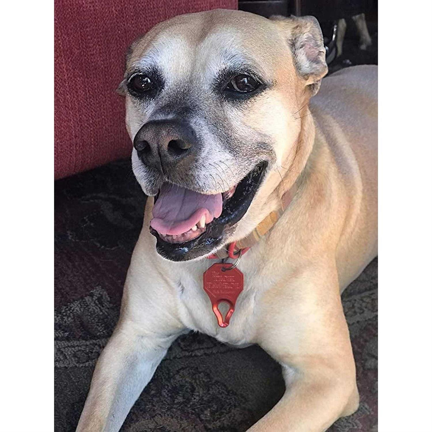 The Tick Patrol Tick Remover - Nail Gallerys