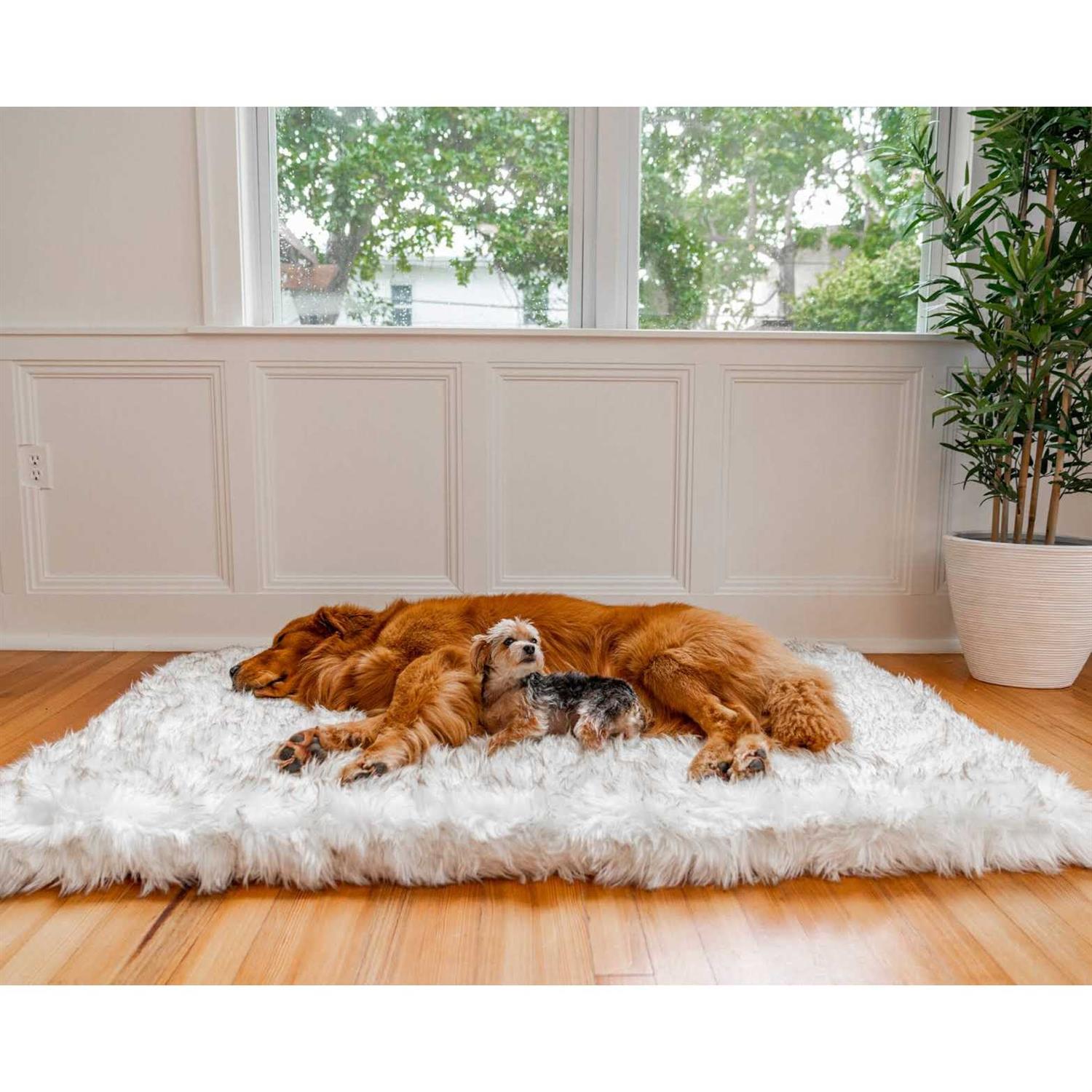 Paw Brands PupRug Faux Fur Orthopedic Dog Bed - Nail Gallerys