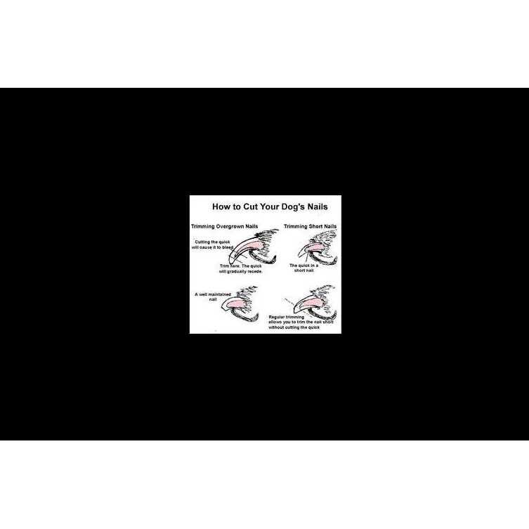 QuickFinder Nail Clipper for Medium Dogs - Nail Gallerys