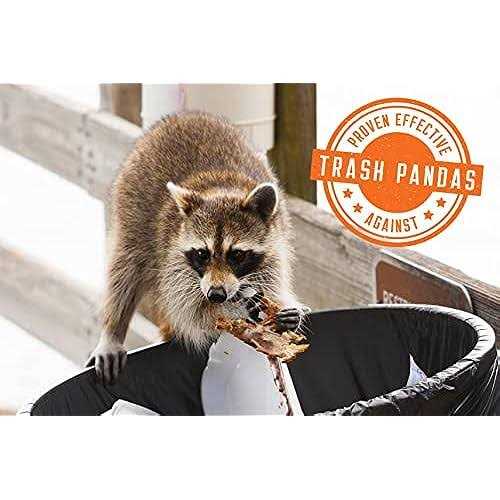 Zone No Holes! Digging Dog Prevention Spray Digging Digging - Nail Gallerys