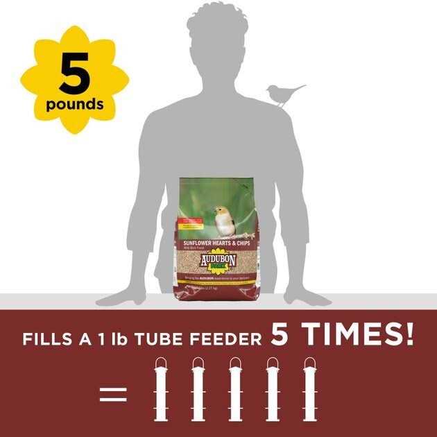 Audubon Park Sunflower Hearts & Chips Wild Bird Food - Nail Gallerys