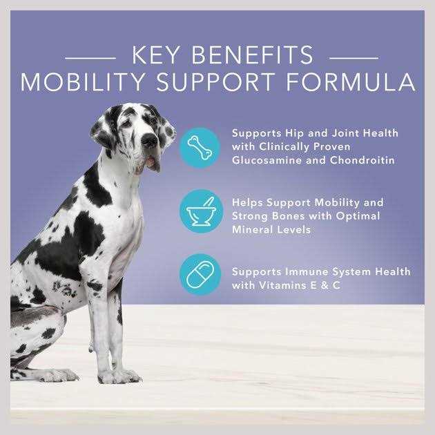 Blue Buffalo True Solutions Jolly Joints Mobility Support Dog Food - Nail Gallerys