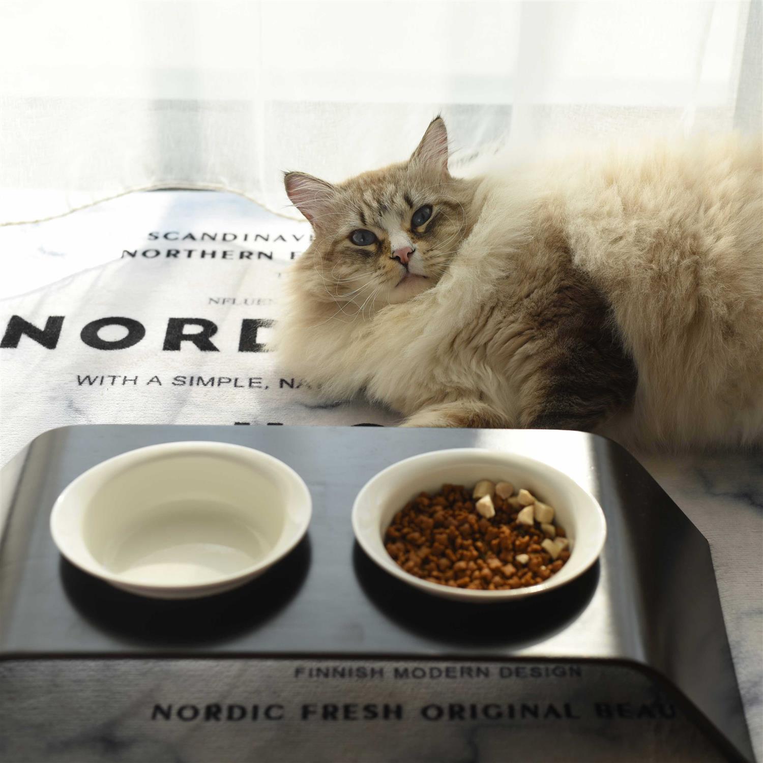 K1 Pet Design K1 CapCap Pet Food Table - Nail Gallerys