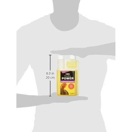 Durvet Poultry Power Conditioning Supplement - Nail Gallerys