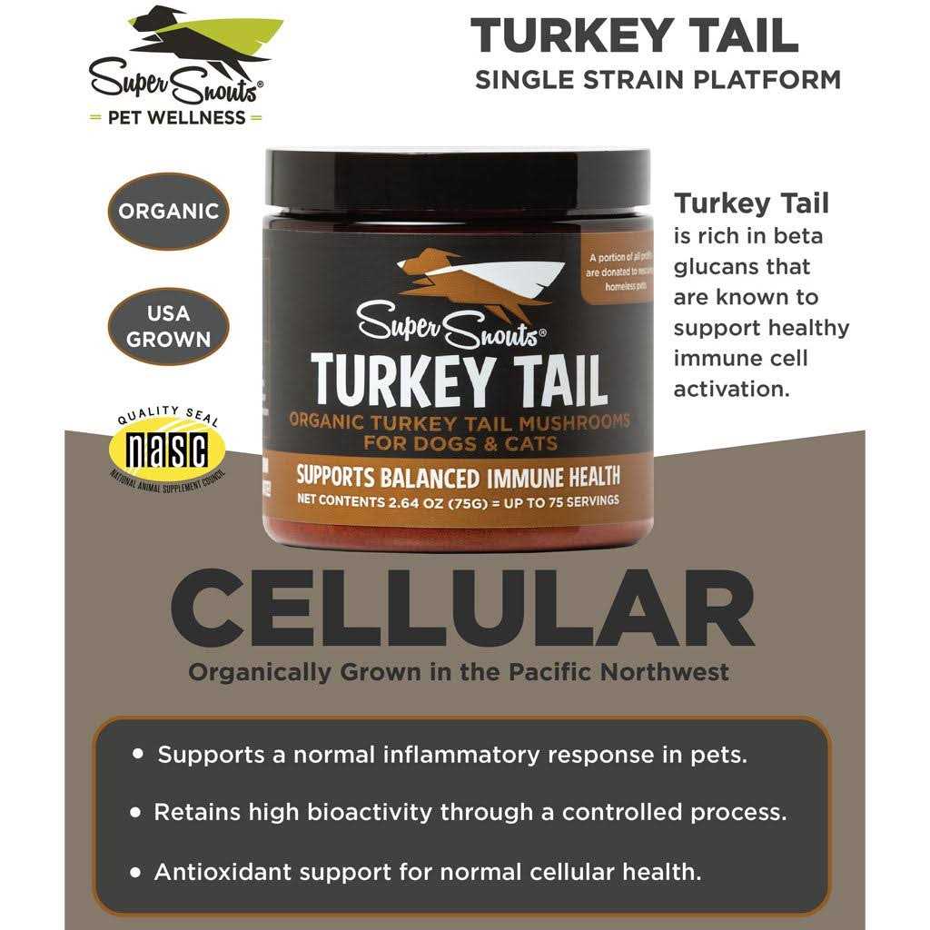 Super Snouts Turkey Tail - Nail Gallerys