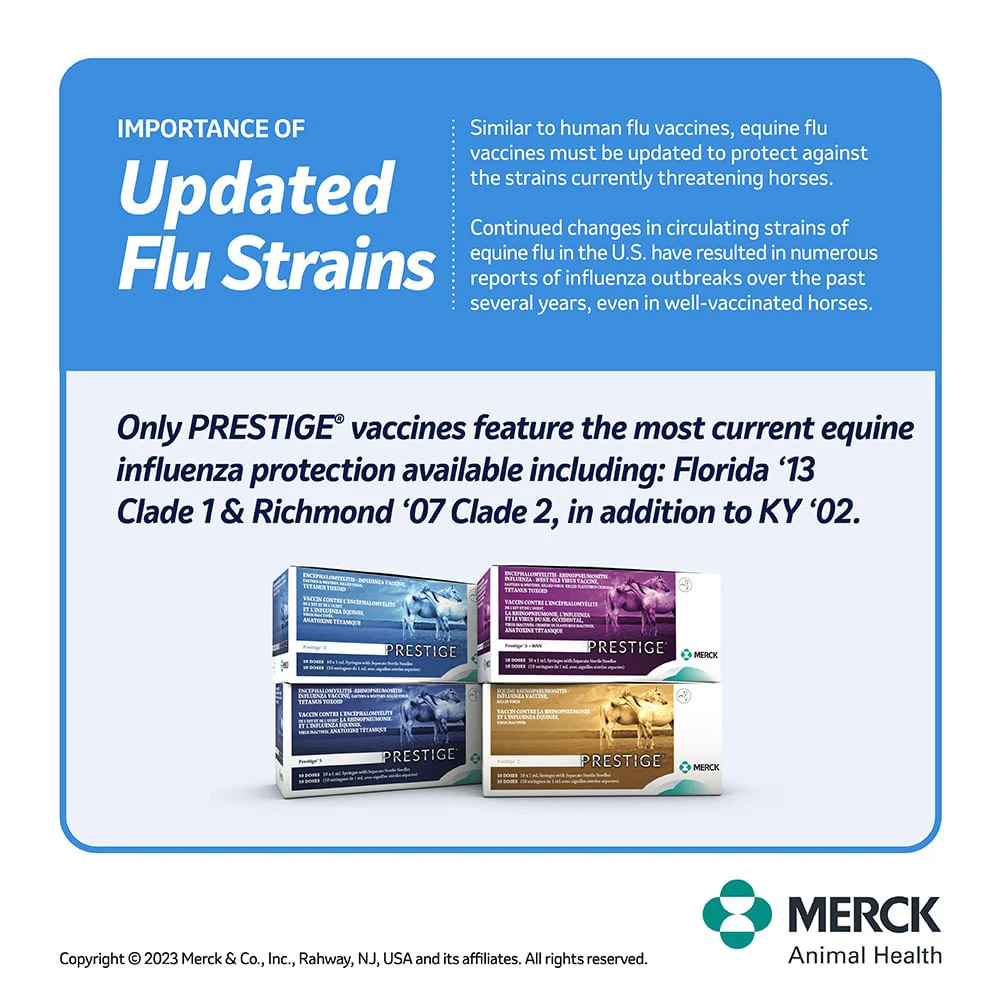 Prestige 4 - Nail Gallerys