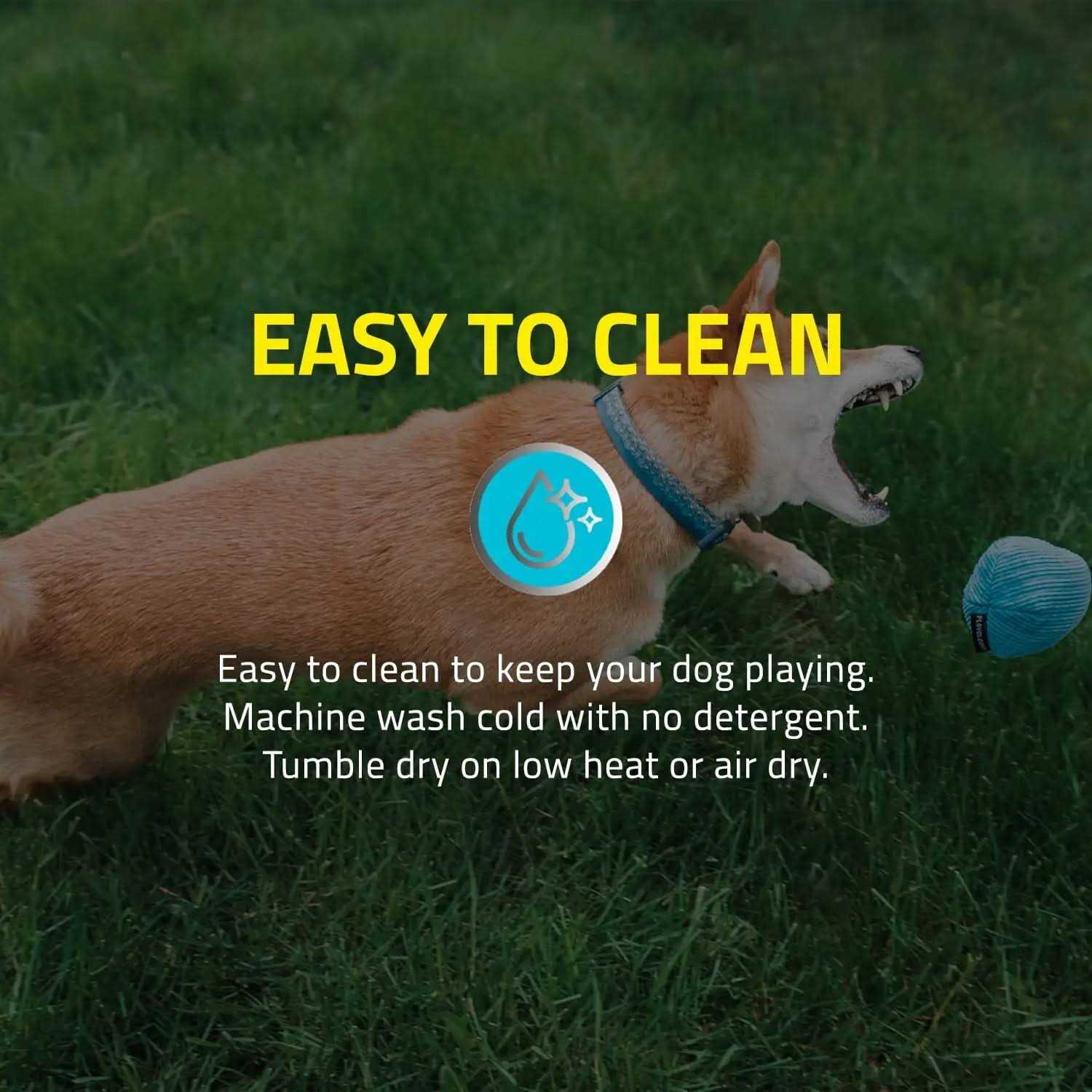 Playology Plush Ball Scented Dog Toy - Nail Gallerys