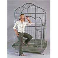 Spunky Pup Snack & Chew Antler - Nail Gallerys