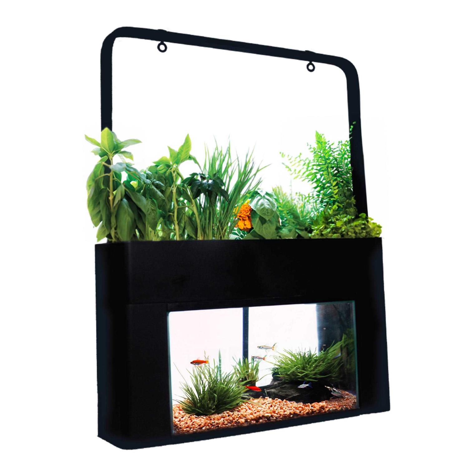 AquaSprouts Garden kit - Nail Gallerys
