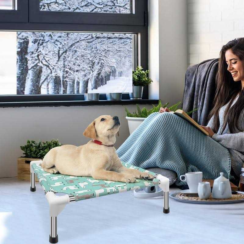 Modorki Elevated Dog Bed Pet cot for Small Dogs, Indoor and Outdoor Use for Small Pets - Nail Gallerys