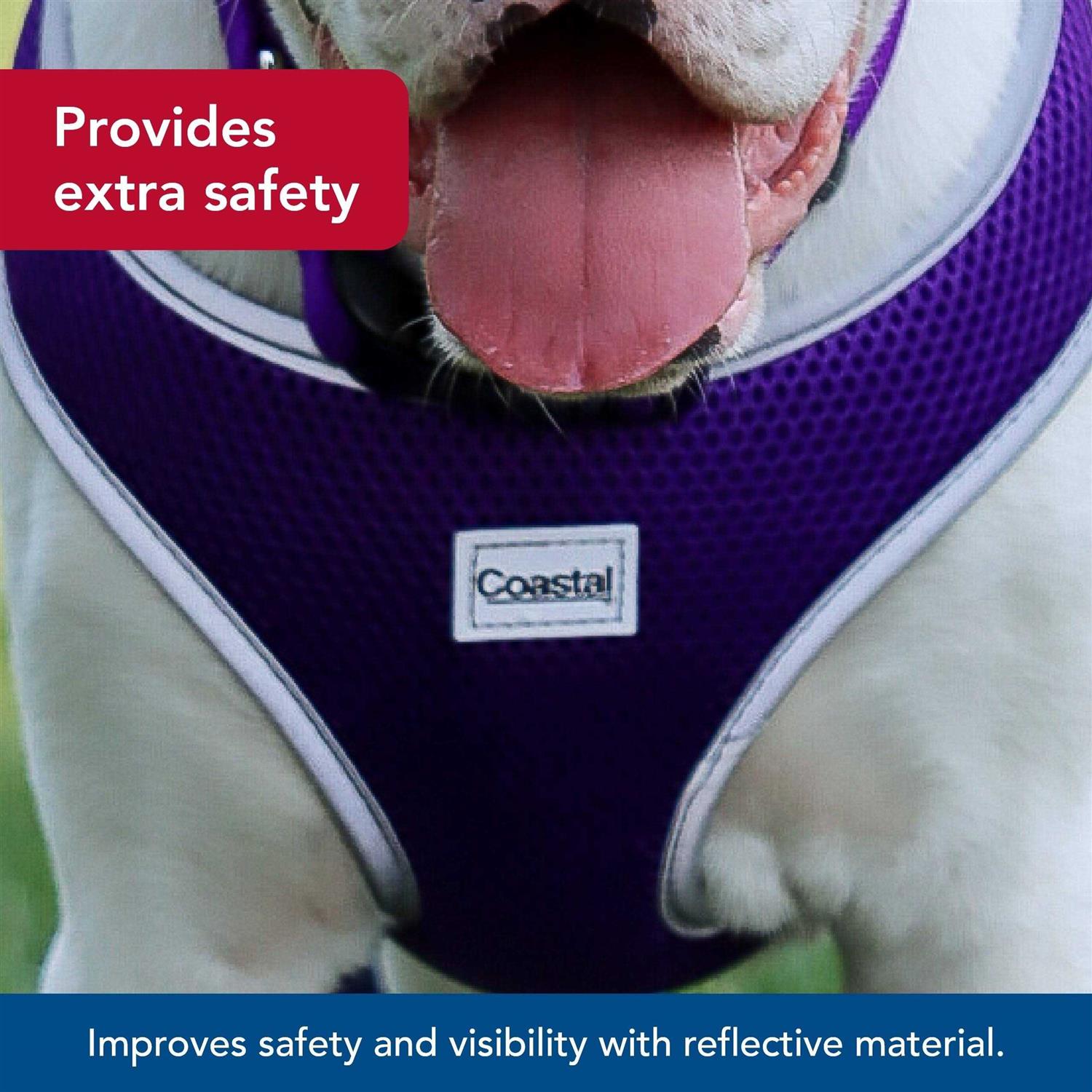 Comfort Soft Wrap Adjustable Dog Harness - Nail Gallerys