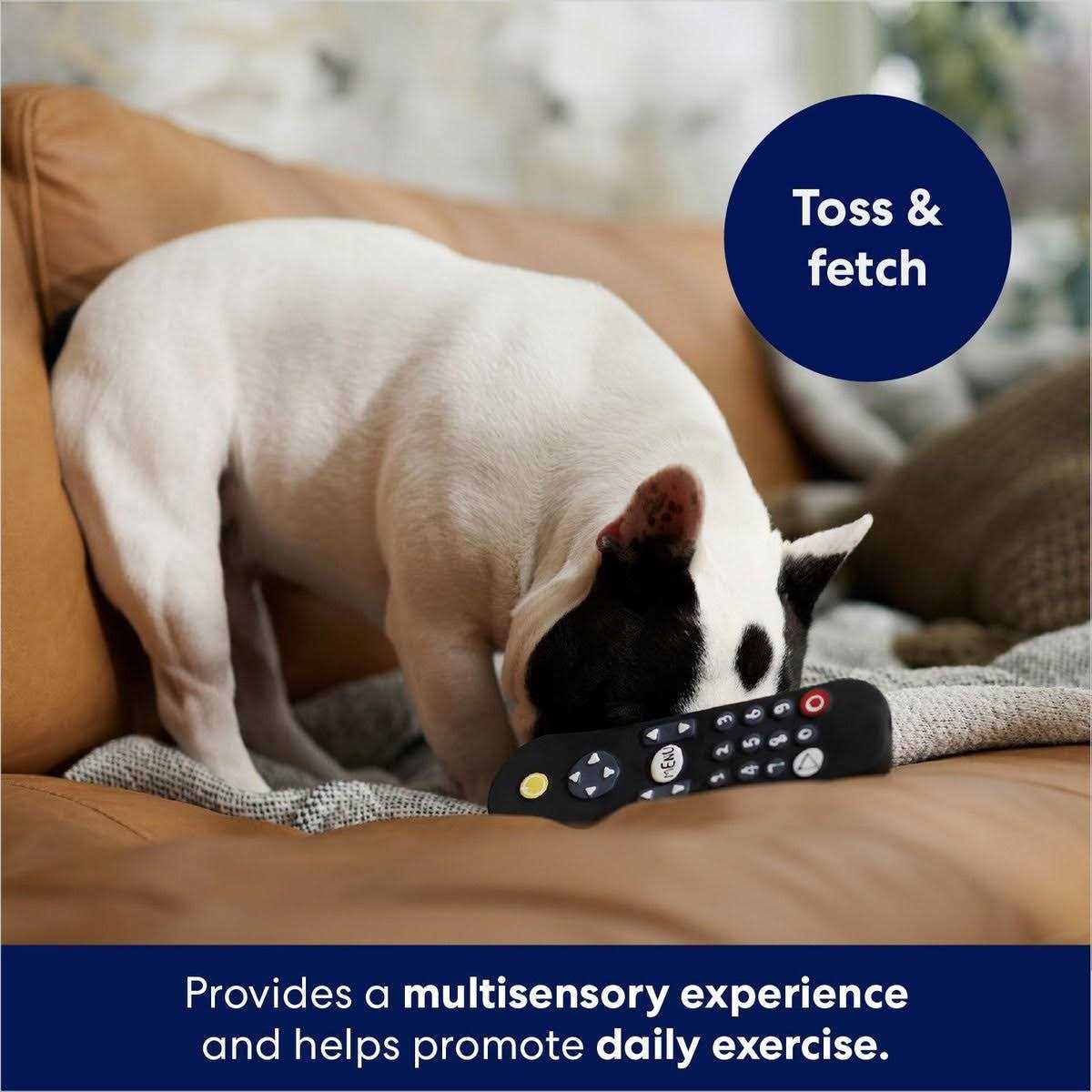 Frisco Zoomies & Chill Remote Latex Squeaky Dog Toy - Nail Gallerys