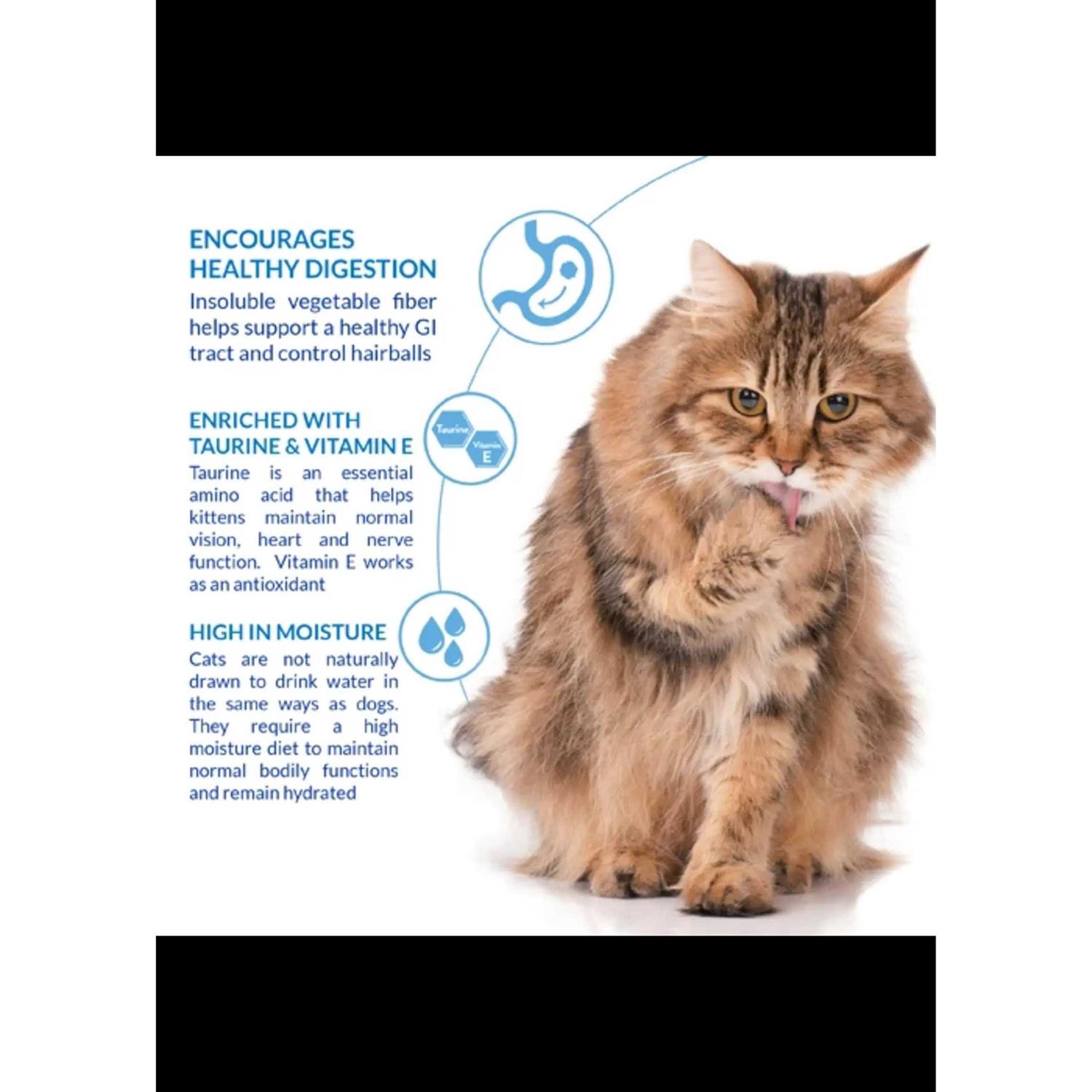 Inaba Churu Hairball Control Cat Treat Chicken - Nail Gallerys