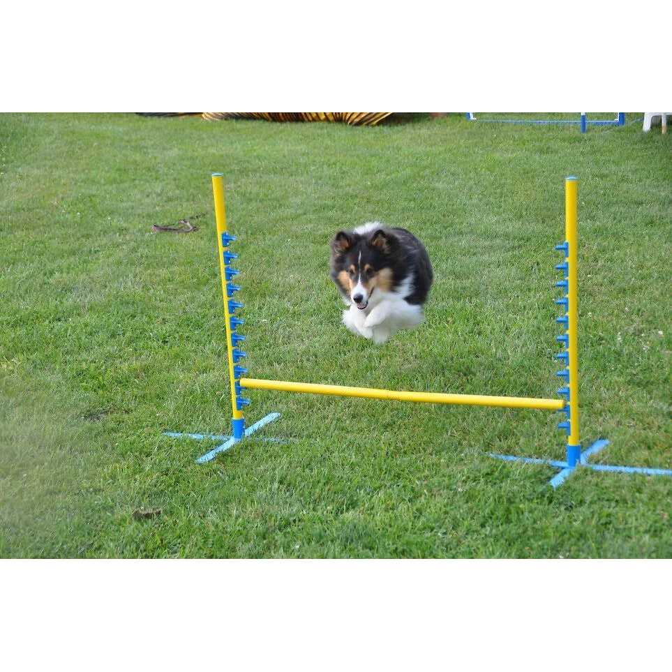 Cool Runners Agility PVA Dog Training Pedestal Jump - Nail Gallerys