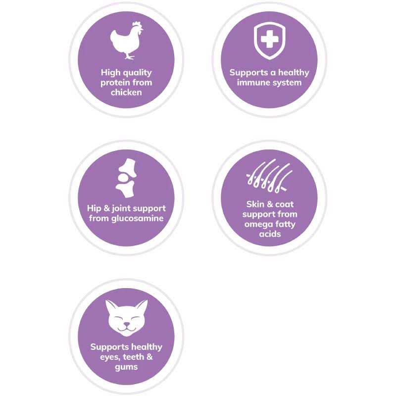 Wellness Complete Health Grain-Free Indoor Deboned Chicken Recipe Dry Cat Food - Nail Gallerys