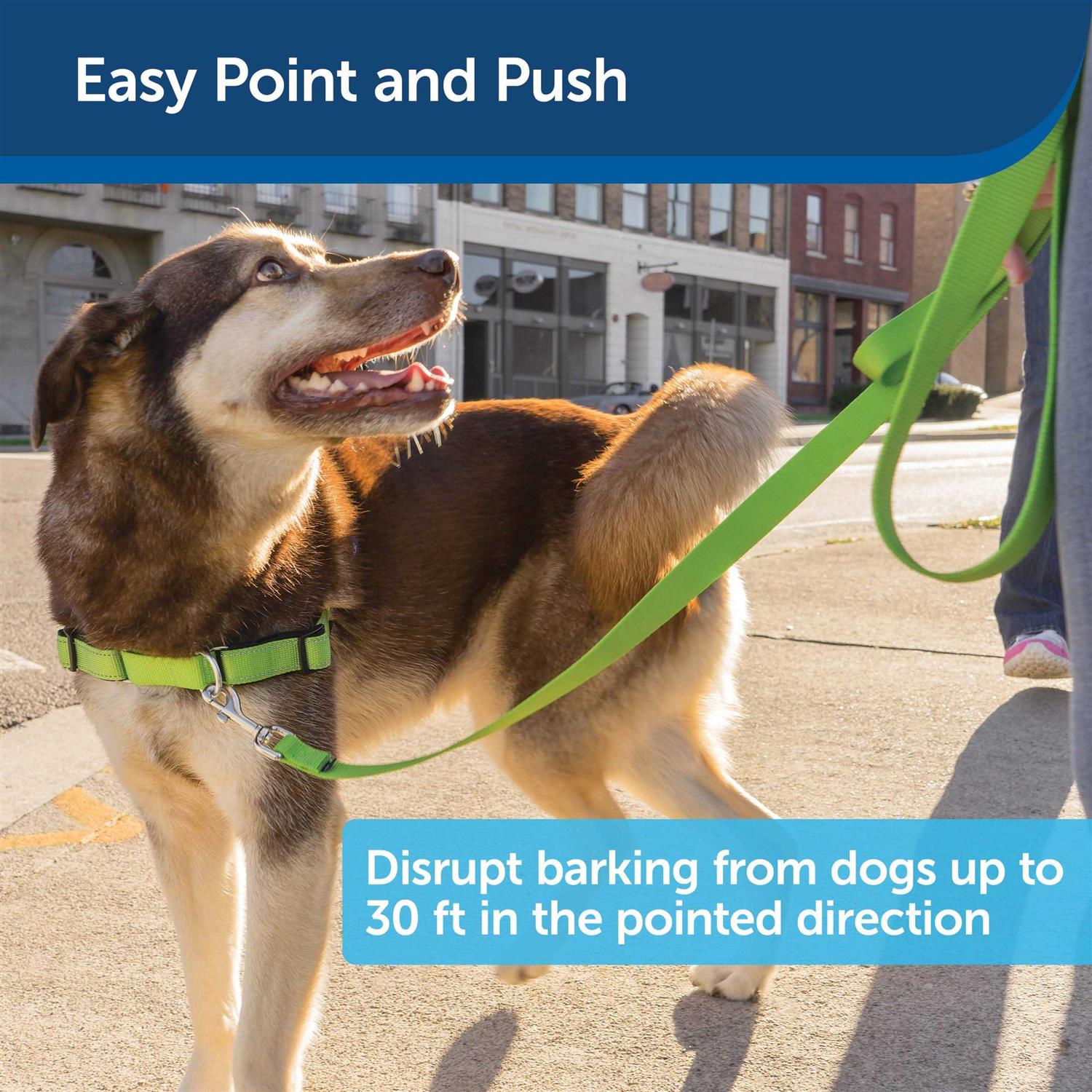 PetSafe Collarless Ultrasonic Remote Dog Trainer - Nail Gallerys