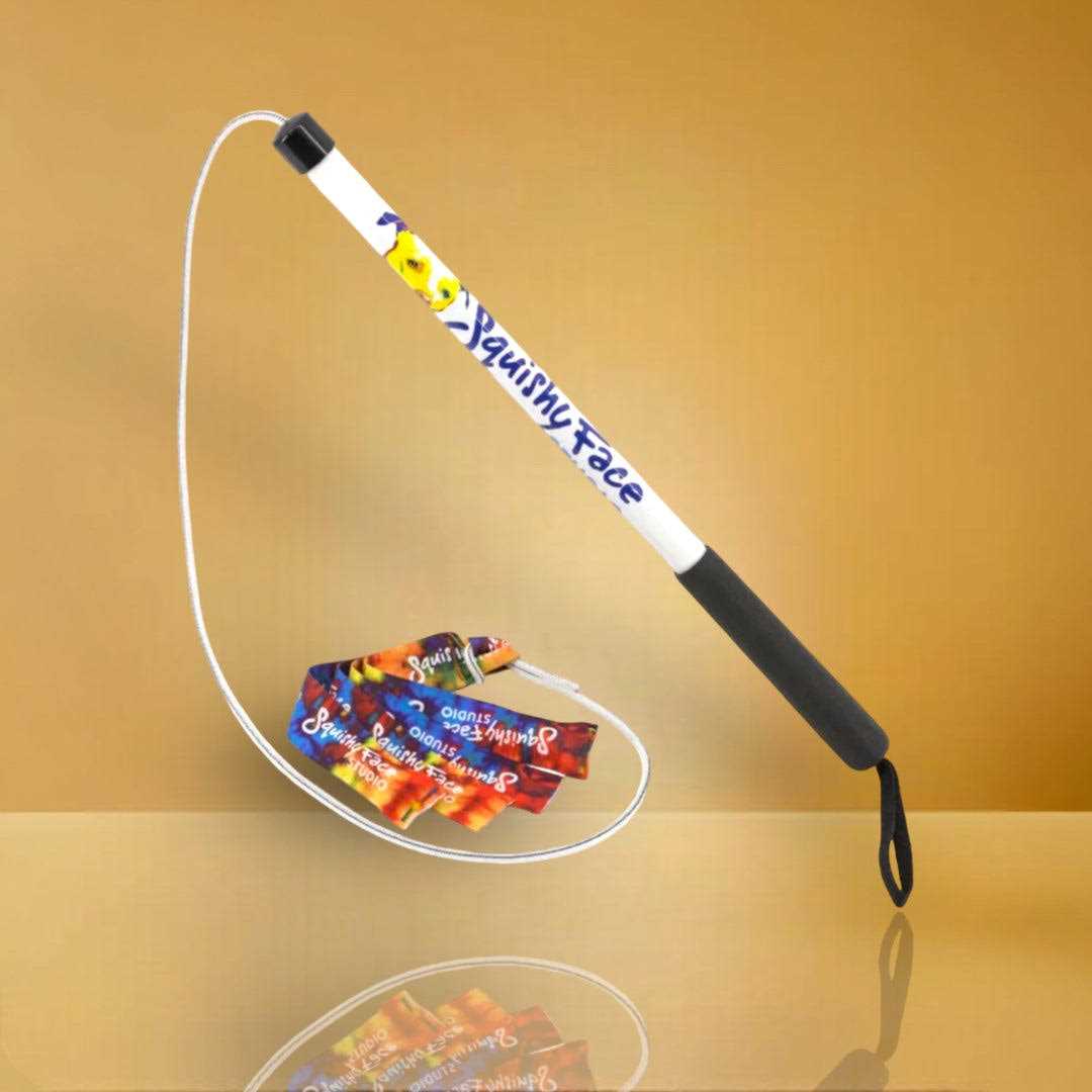 Squishy Face Studio Flirt Pole V2 Dog Toy with Lure - Nail Gallerys