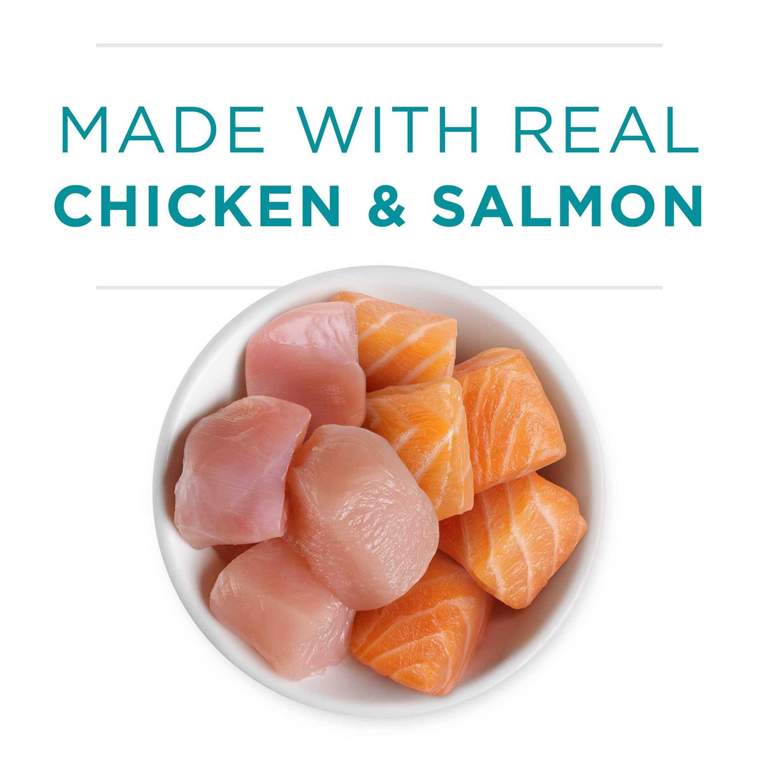 Purina ONE Healthy Kitten Grain Free Chicken & Salmon Pate Wet Cat Food - Nail Gallerys