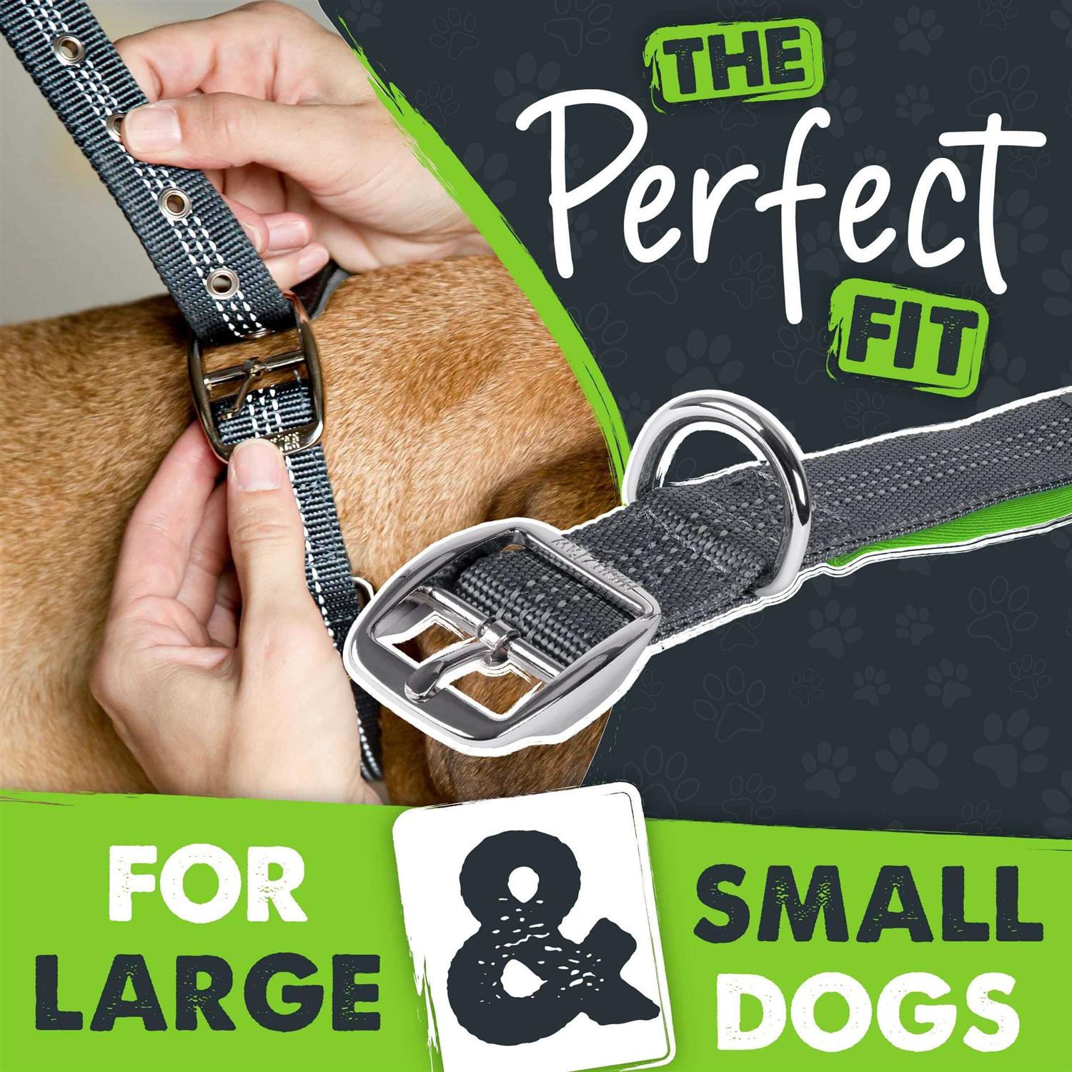 Mighty Paw Sport 2.0 Dog Collar - Nail Gallerys