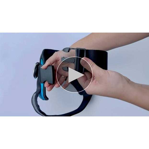 ShawnCo Essential Dog Harness, No-Pull Pet Vest with 3 Leash Clips, No Choke, Reflective, Adjustable and Padded, for Easy Walking and Training - Nail Gallerys