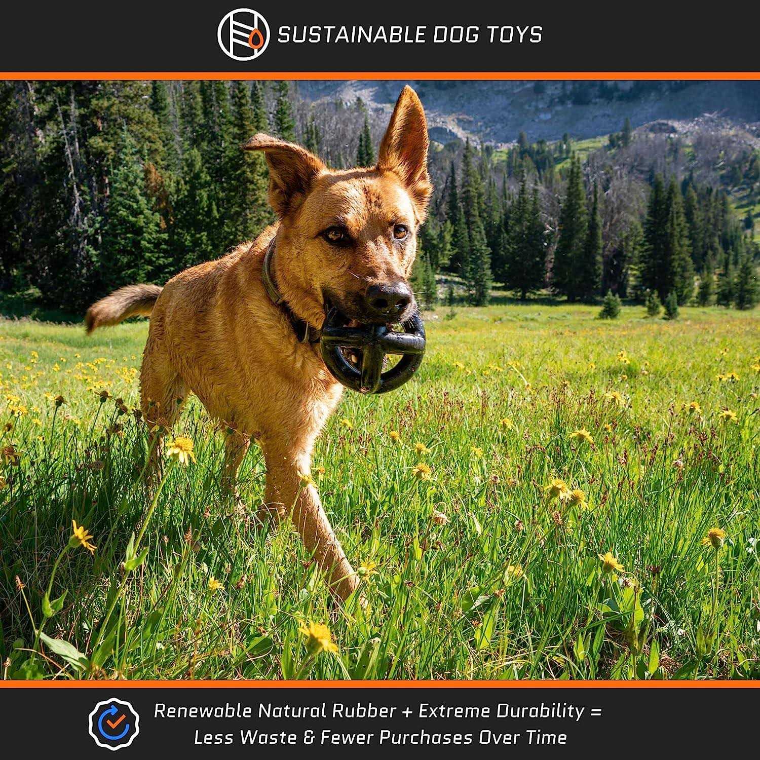 Monster K9 Dog Toys Monster K9 Tough Dog Toys for Aggressive Chewers Large Breed - Nail Gallerys