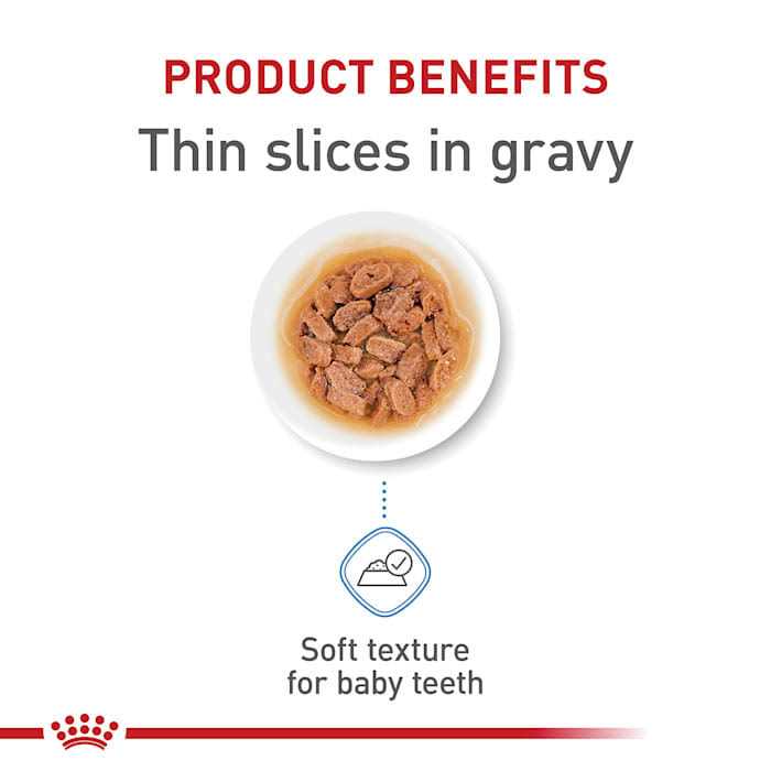 Royal Canin Size Health Nutrition Small Puppy Thin Slices in Gravy Wet Dog Food - Nail Gallerys