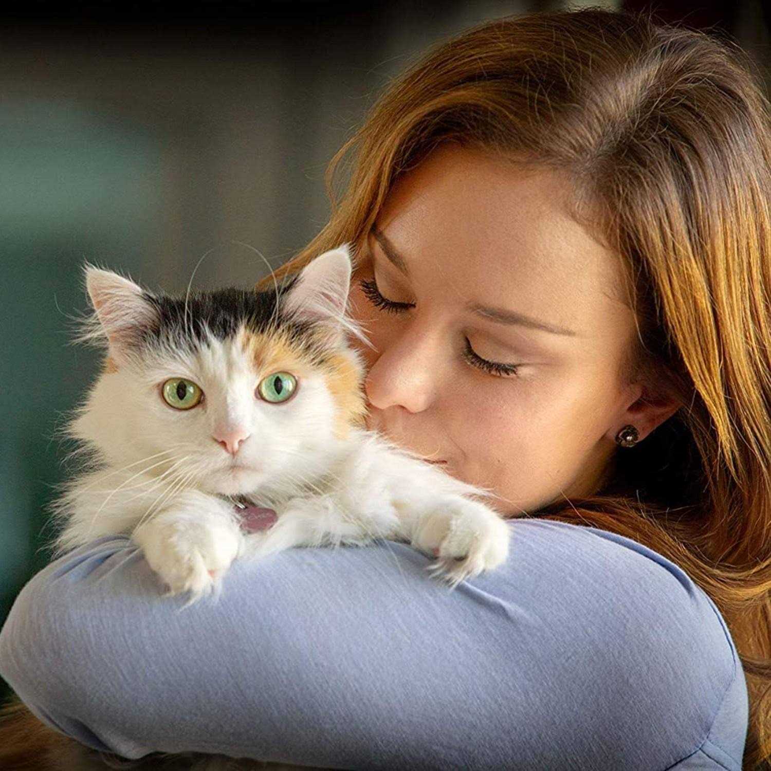 In Clover Spry Respiratory and Ocular Support Soft Chews for Cats - Nail Gallerys