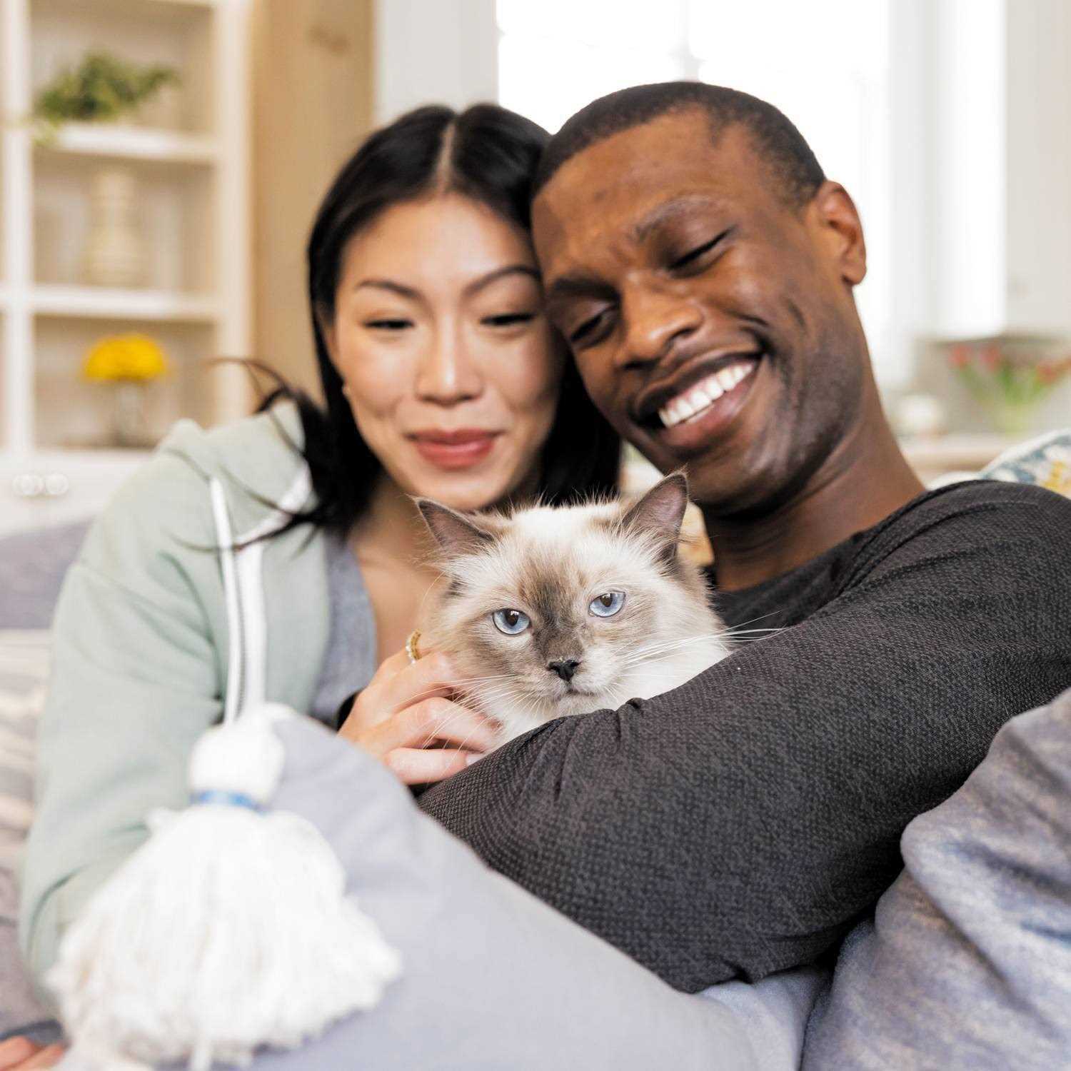 Iams Advanced Health Healthy Digestion Turkey & Chicken Recipe Adult Dry Cat Food - Nail Gallerys