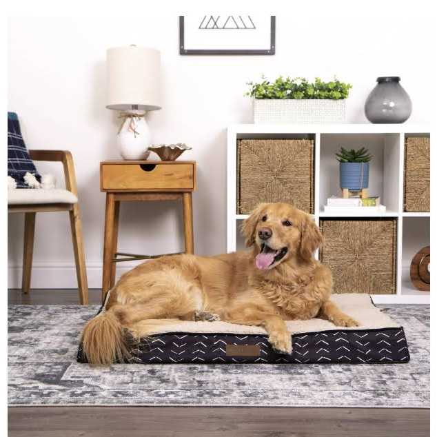 Vibrant Life Orthopedic Bed Mattress Edition Dog Bed - Nail Gallerys