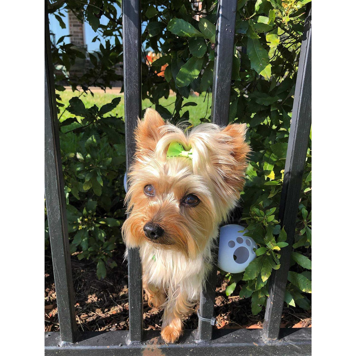 FenceMate Dog Harness Fits Girth - Nail Gallerys