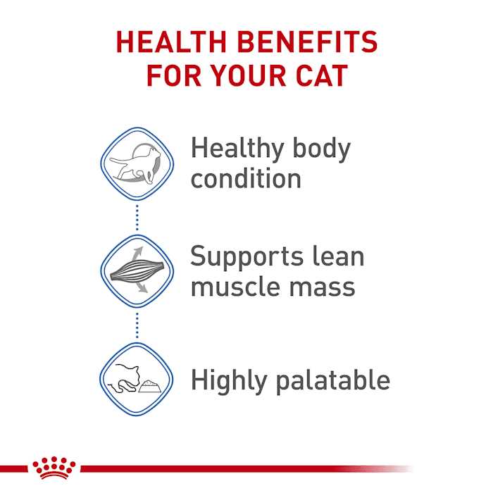 Royal Canin Feline Weight Care Thin Slices in Gravy Canned Adult Wet Cat Food Multipack - Nail Gallerys