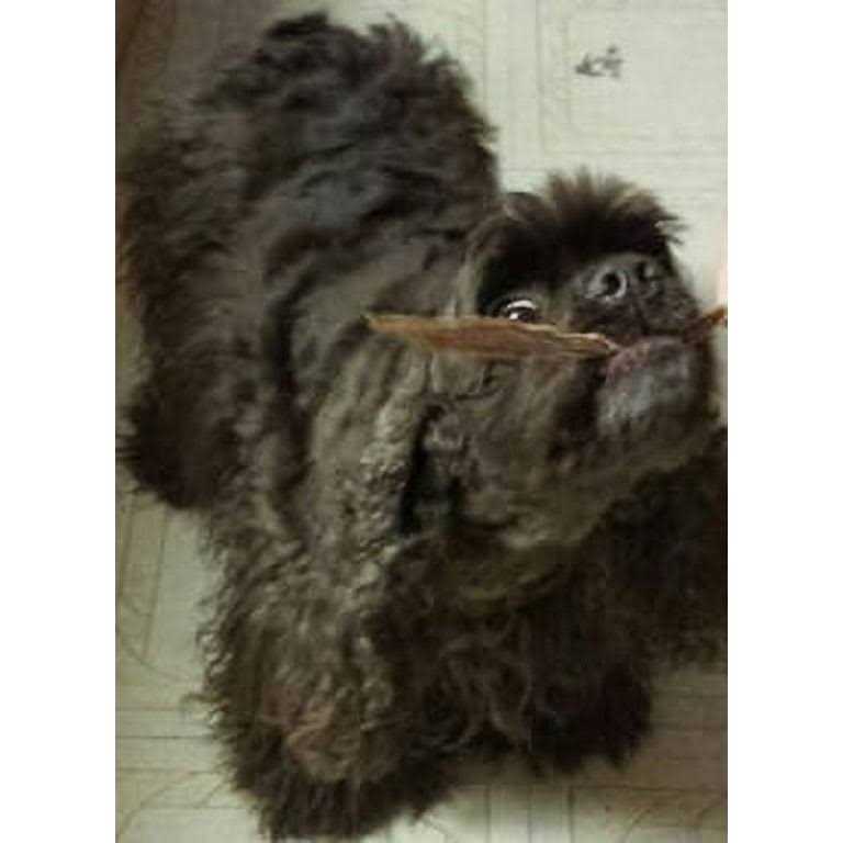 HDP Duck Jerky Strips - Nail Gallerys