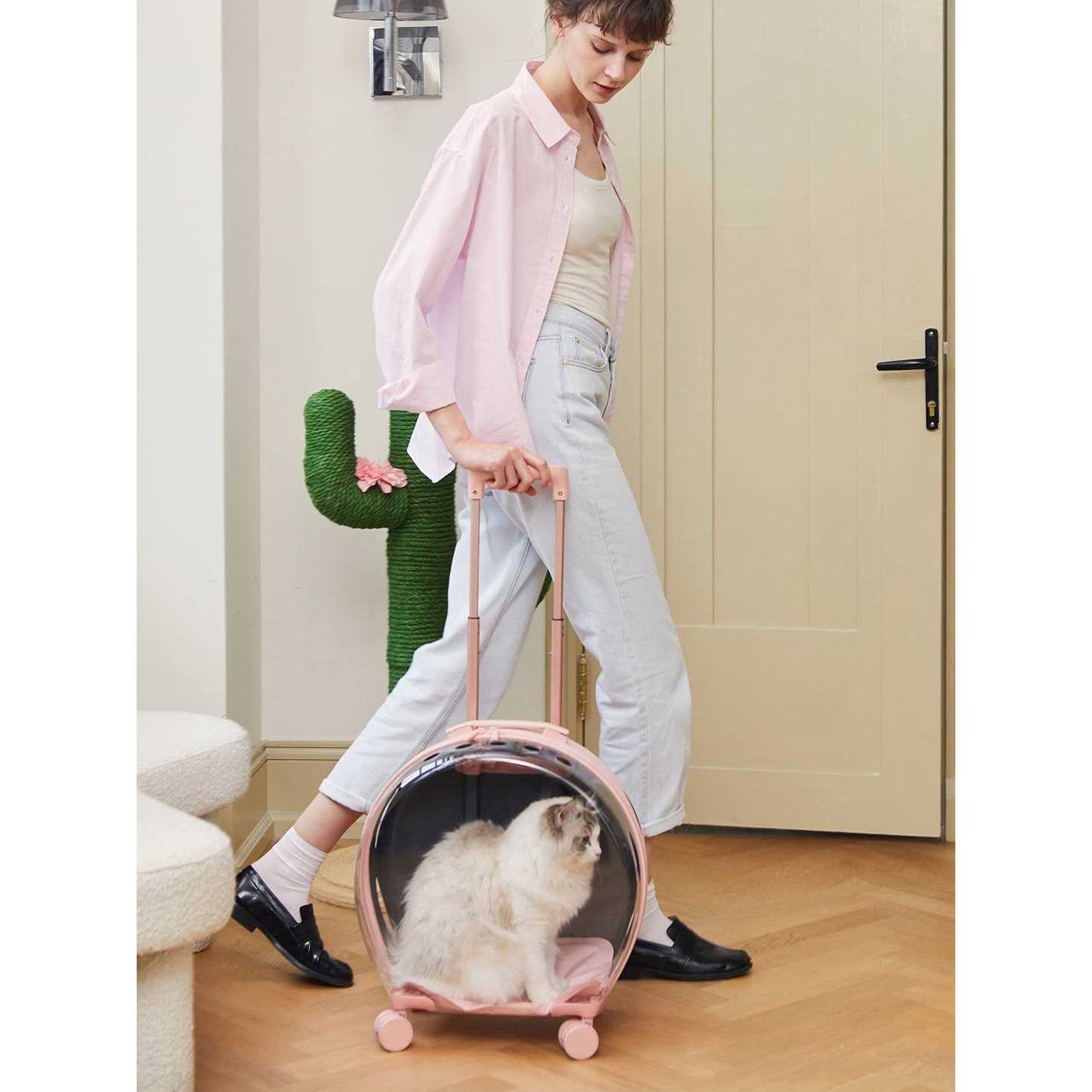 Vetreska Bubble Pet Carrier Pink Color Block - Nail Gallerys