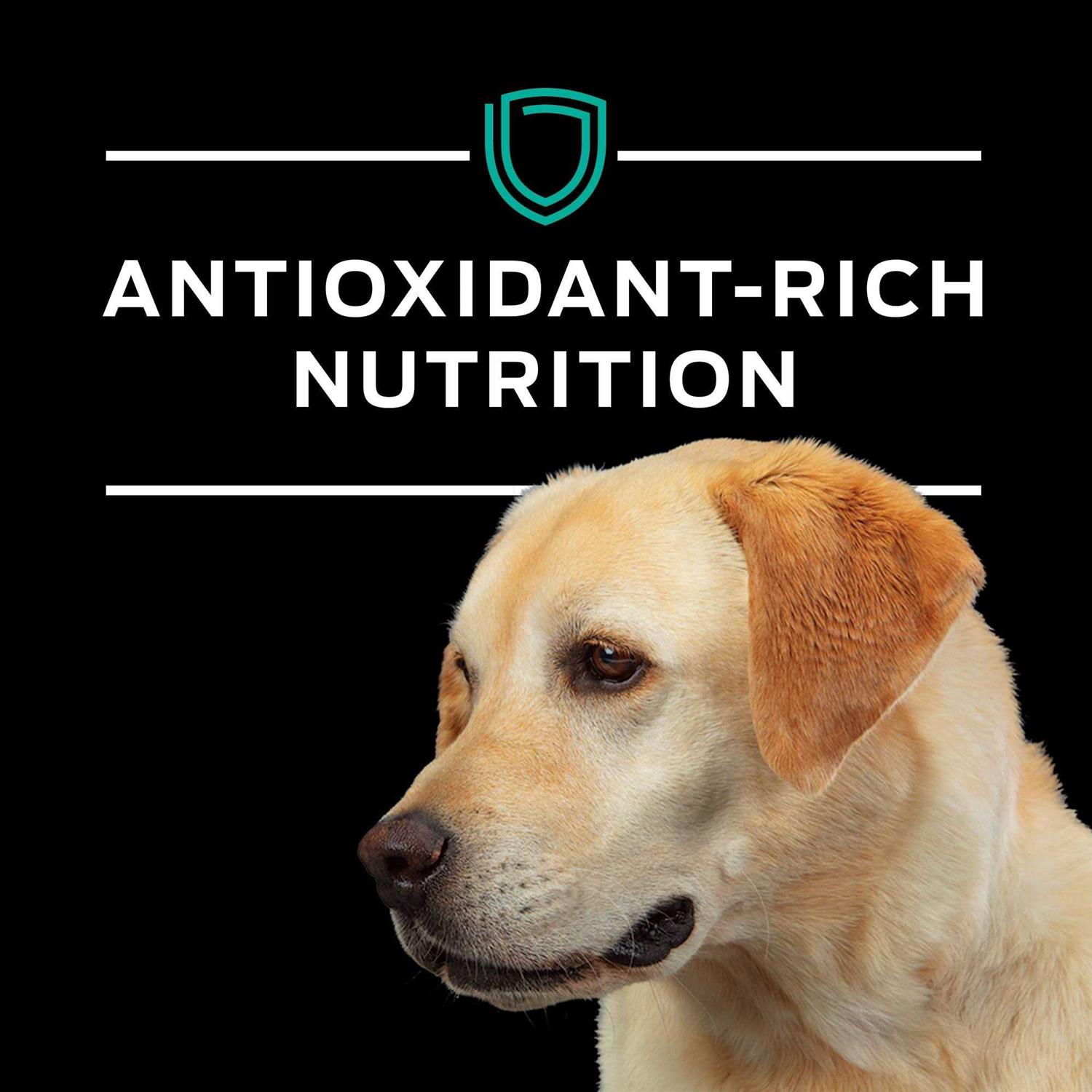 Purina Pro Plan Veterinary Diets EN Gastroenteric Formula Dry Dog Food - Nail Gallerys