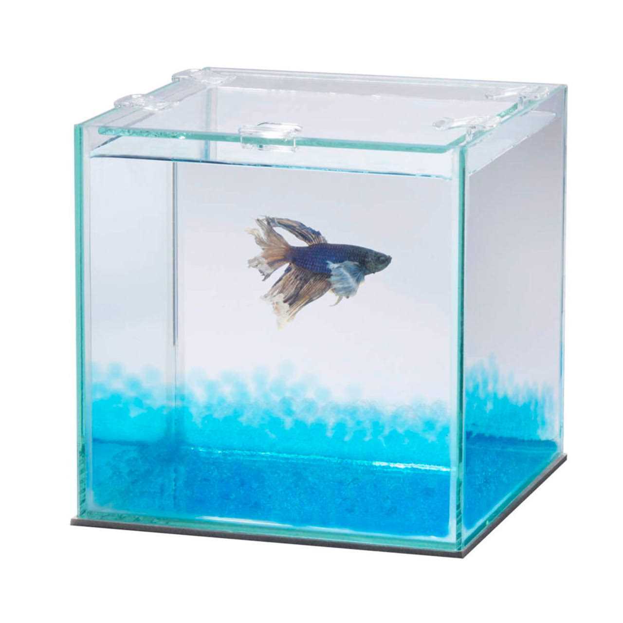 Aqueon Pure Betta Beads - Nail Gallerys