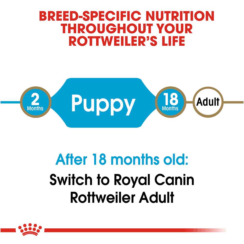Royal Canin Breed Health Nutrition Rottweiler Puppy Dry Dog Food - Nail Gallerys