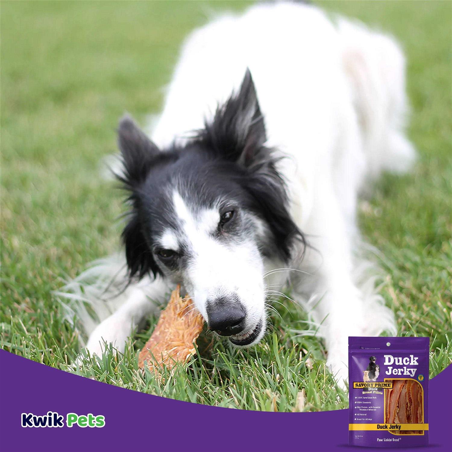 Savory Prime Natural Duck Jerky - Nail Gallerys