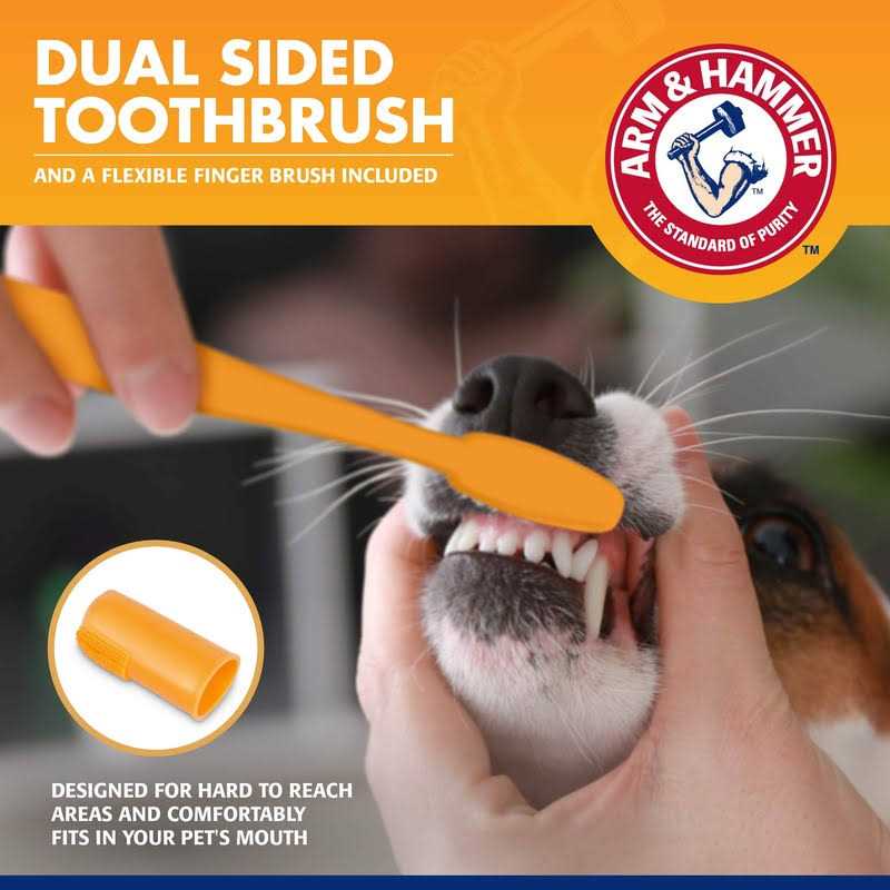 Arm & Hammer Tartar Control Kit for Dogs - Nail Gallerys