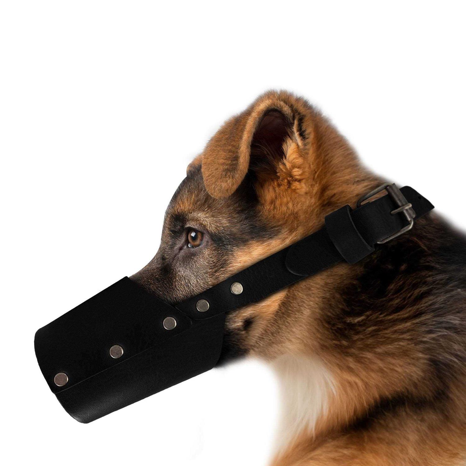 Hide & Drink Dog Muzzle Guard Secure Prevents Biting Chewing - Nail Gallerys