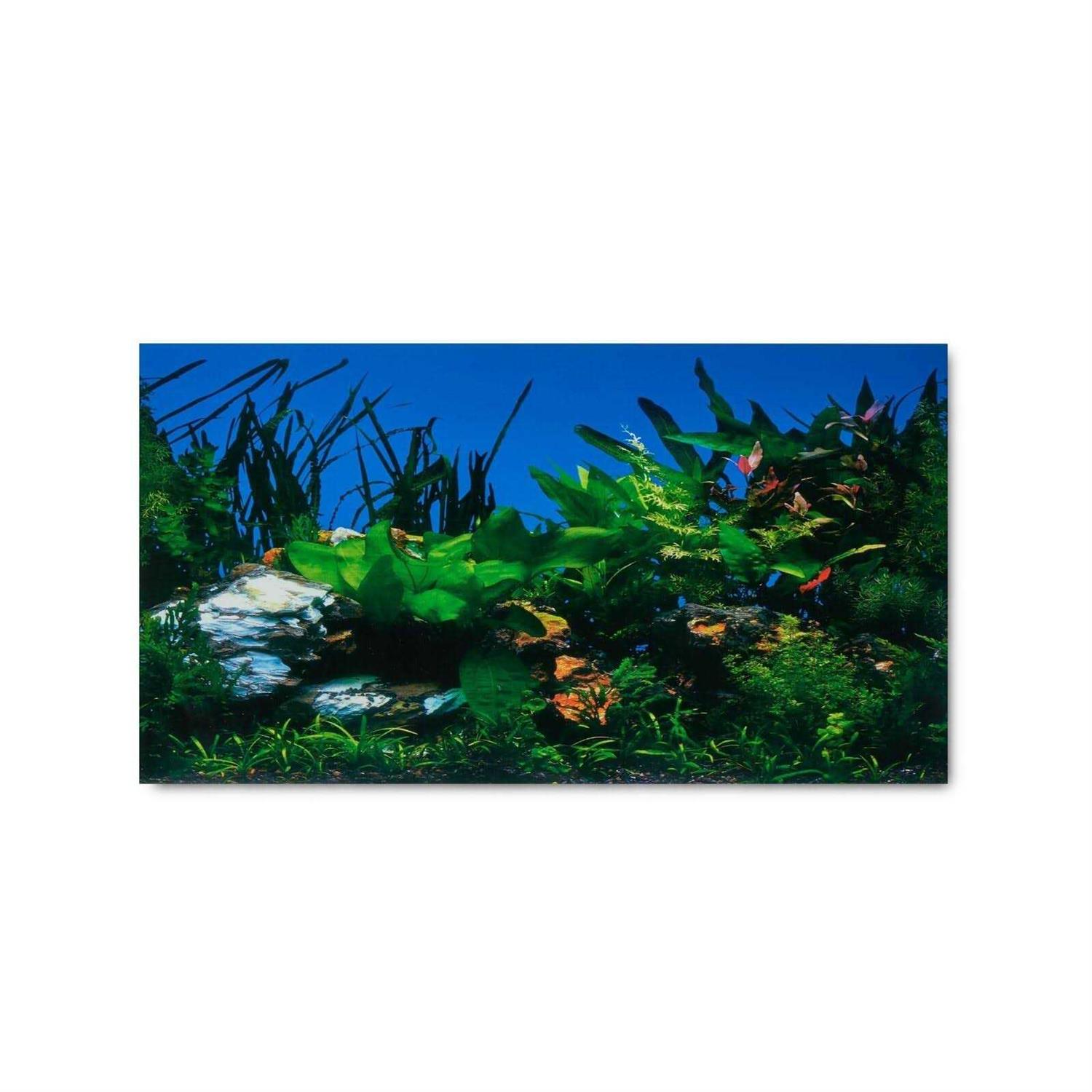 Aqua Culture Two Sided Aquarium Background - Nail Gallerys