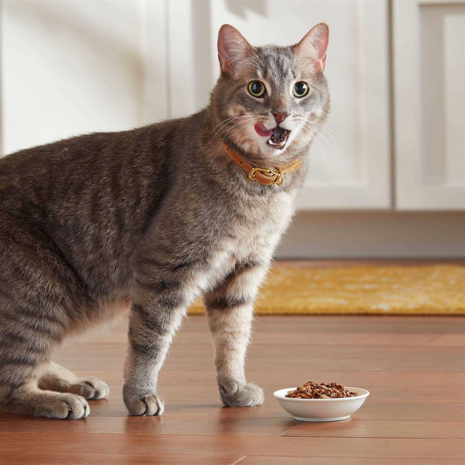 Meow Mix Tender Favorites Wet Cat Food - Nail Gallerys