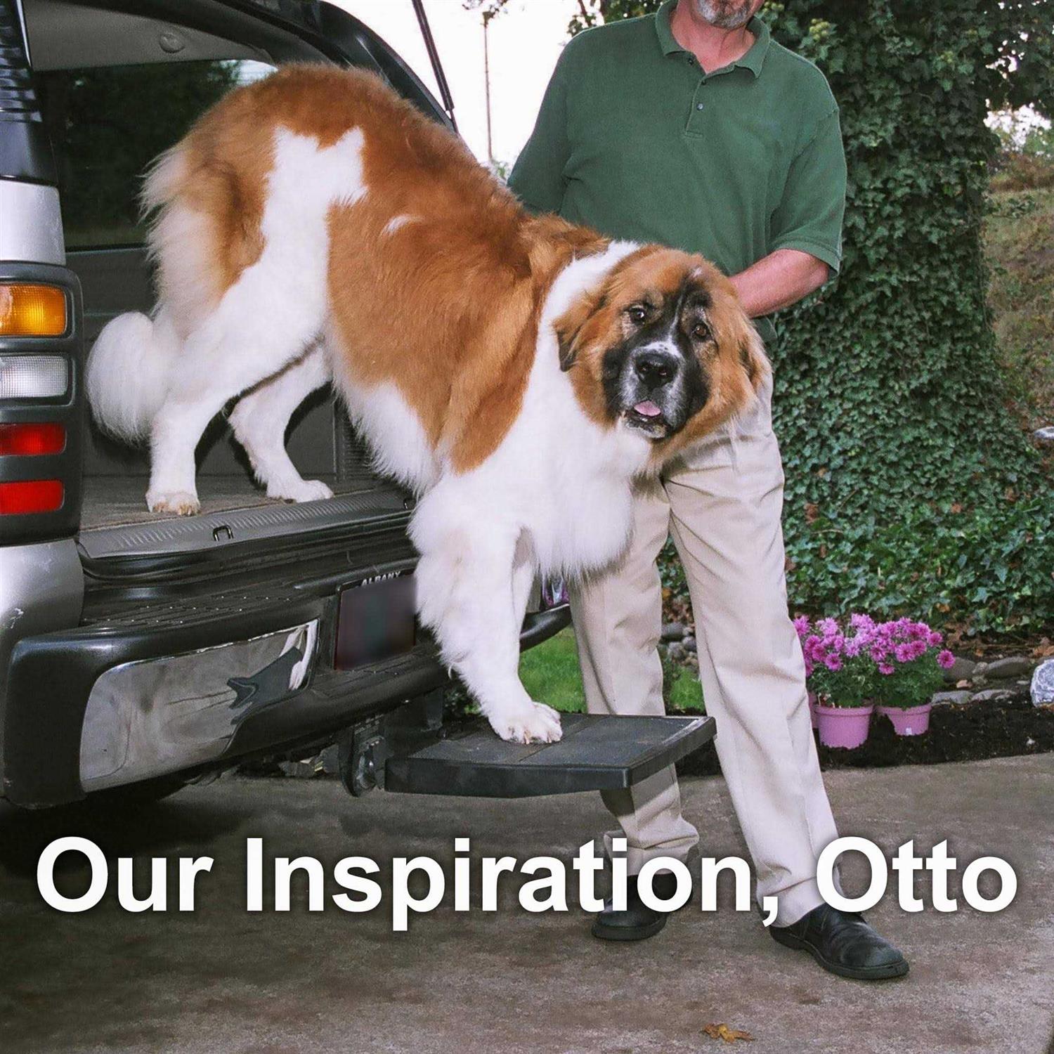 Otto Step Car Pet Ramp Pet Step - Nail Gallerys