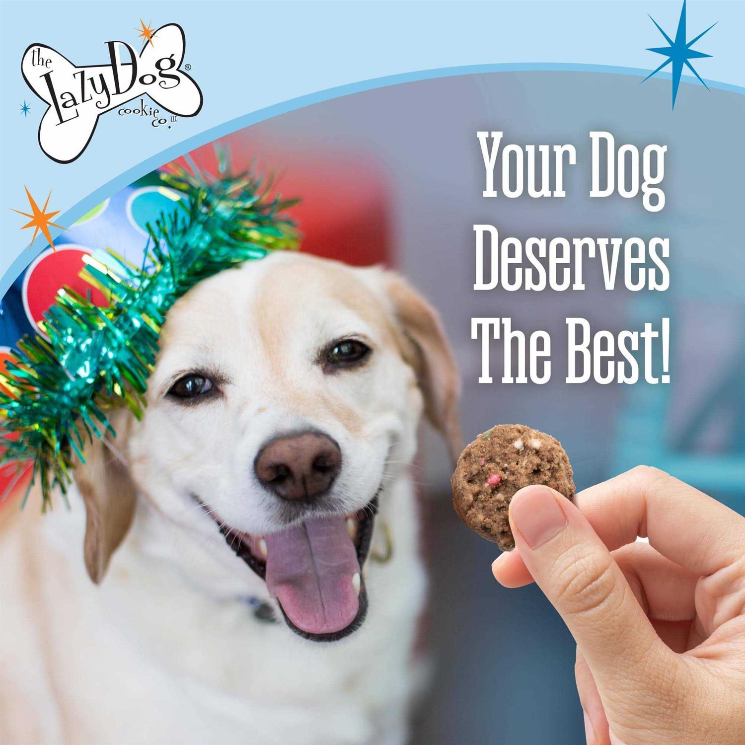 The Lazy Dog Cookie Co. Birthday Cake Bites Dog Treats - Nail Gallerys
