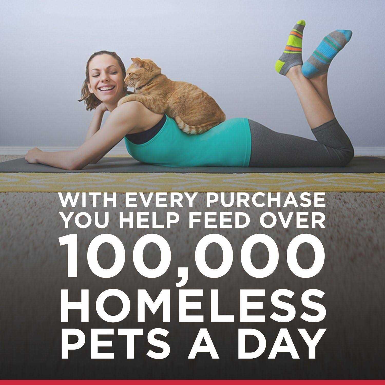 Hill’s Science Diet Adult 7+ Savory Cat Food Chicken Entree - Nail Gallerys