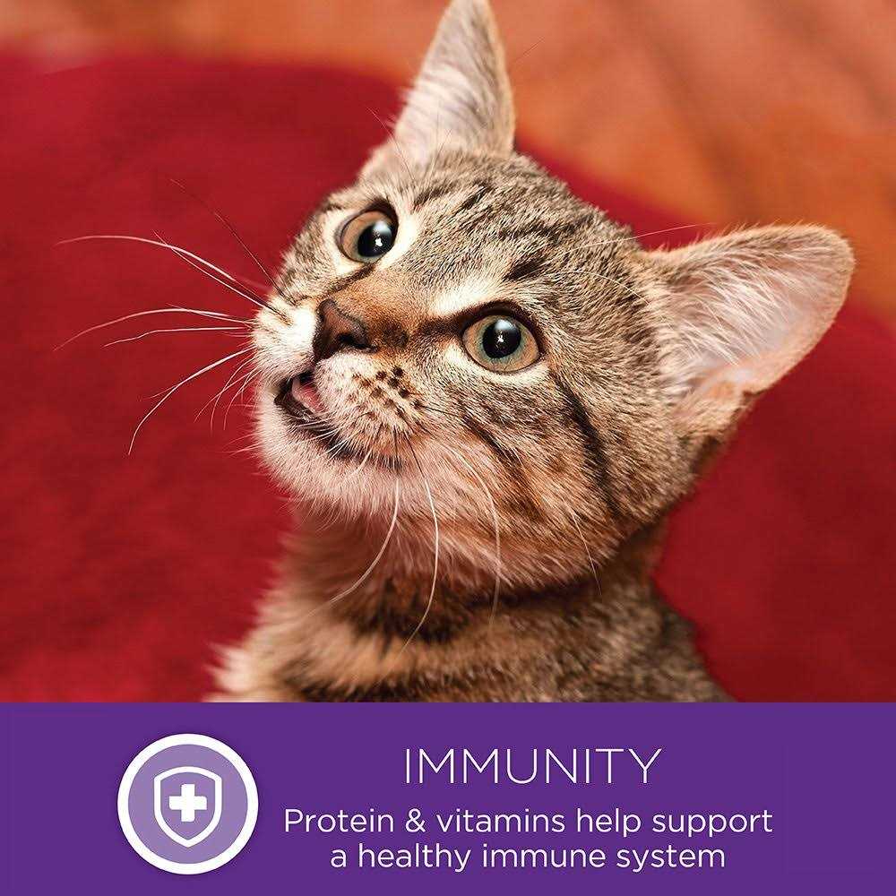 Wellness Healthy Indulgence Natural Grain Free Gravies and Gravy Cat Food Pouch - Nail Gallerys