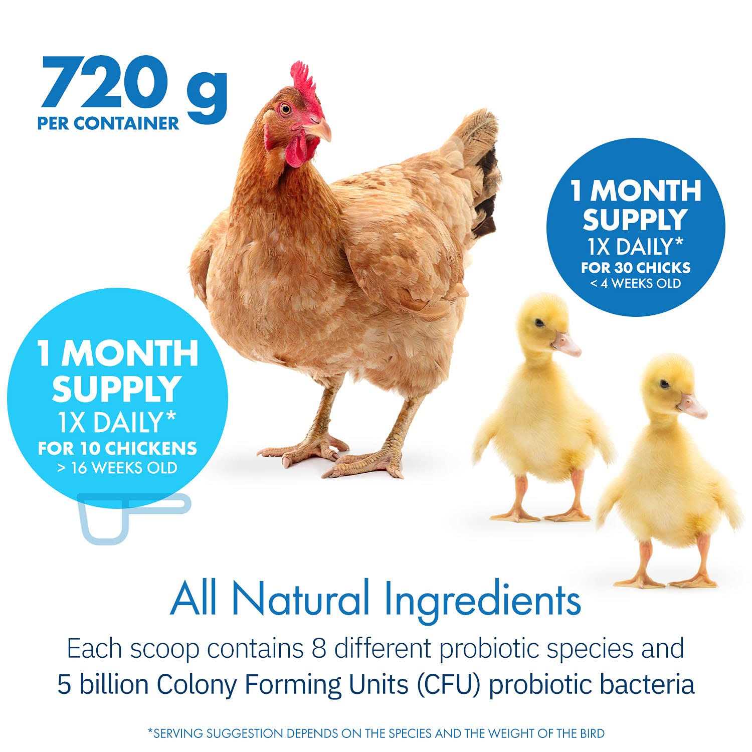 Equa Holistics HealthyGut Probiotics for Chickens & Poultry - Nail Gallerys