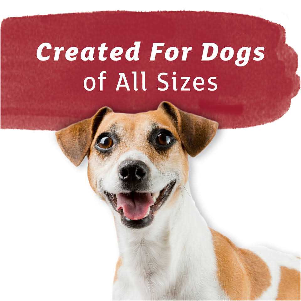 Purina Beneful Baked Delights Hugs Dog Treats - Nail Gallerys