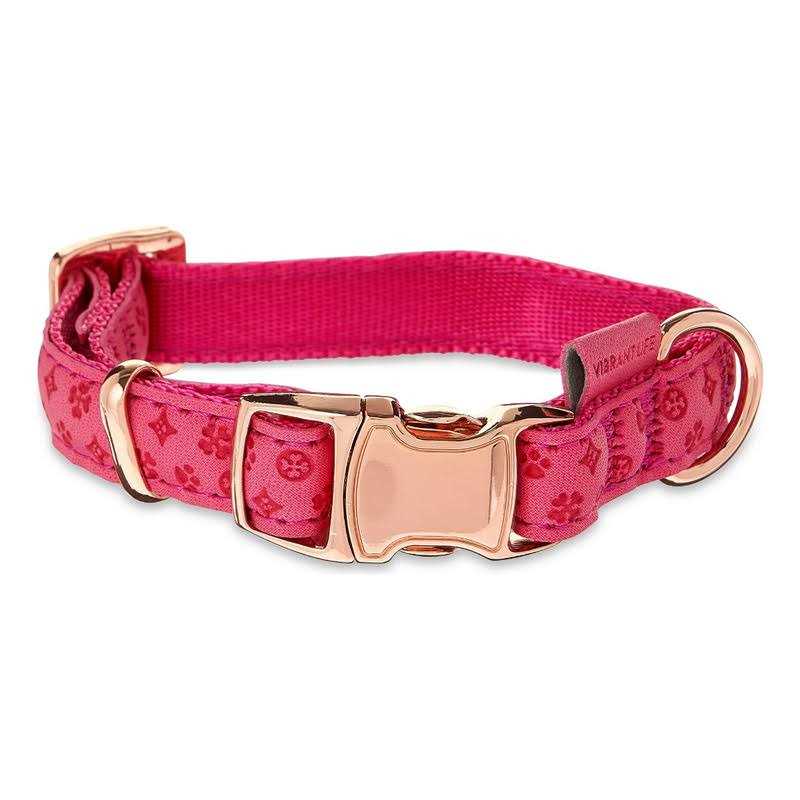 Vibrant Life Embossed Adjustable Dog Collar - Nail Gallerys