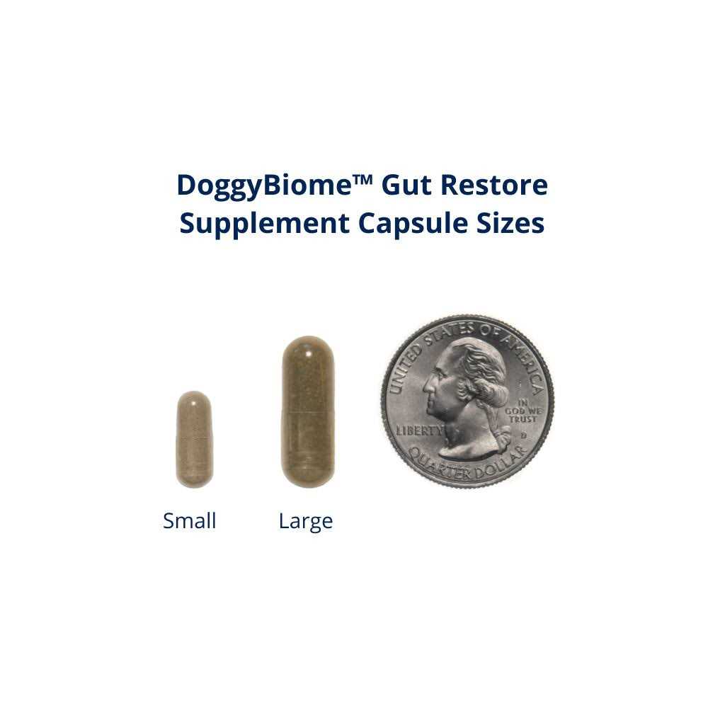 DoggyBiome Gut Restore Supplement 30 Capsules - Nail Gallerys